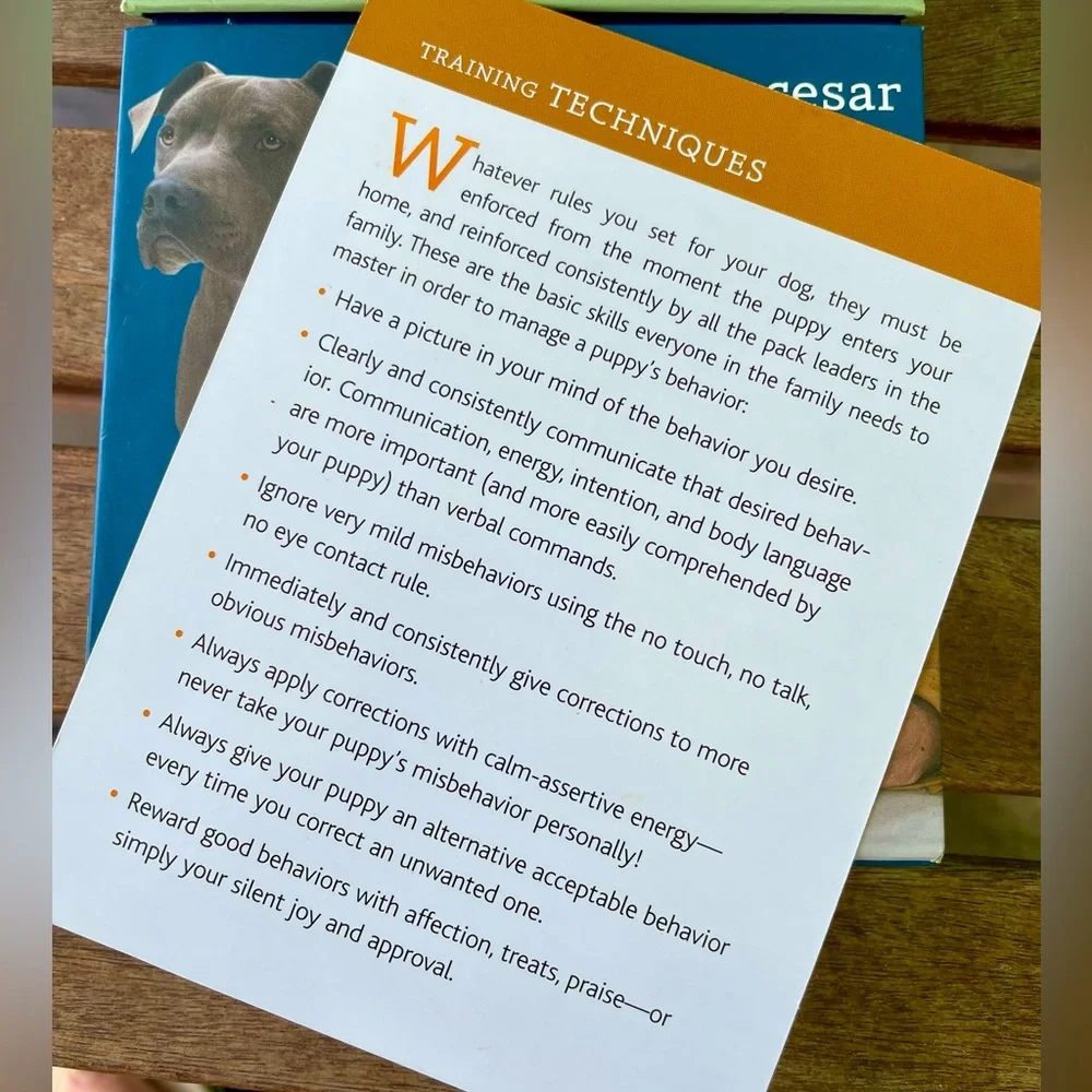Puppyhood Deck: 50 Tips for Raising the Perfect Dog